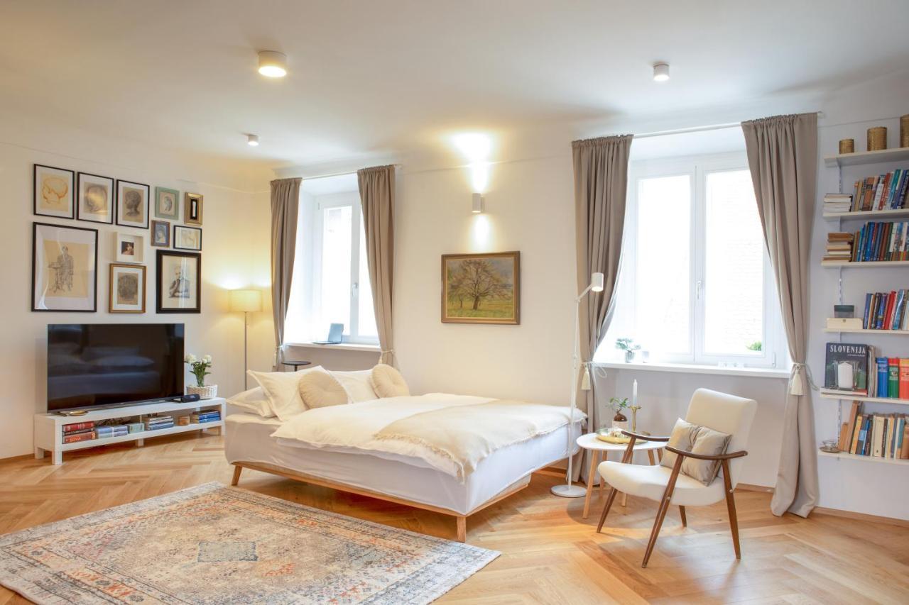 Stylish Apartment In Historical Center Любляна Екстер'єр фото